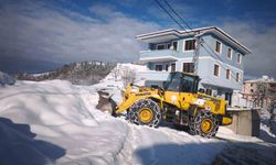 Karla mücadele çalışmaları sürüyor