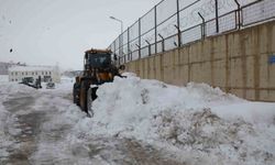 Karla mücadele seferberliği