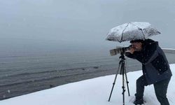 Kış ortasında kuş akını