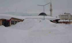 Kış şartları ağırlaşıyor, 124 köy yolu kapandı
