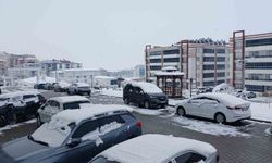 Kulp'ta beyaz esaret devam ediyor