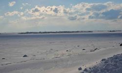 'Kuş cenneti' Arin Gölü tamamen dondu