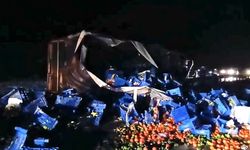 Kütahya-Eskişehir karayolunda meyve yüklü tır devrildi