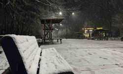 Lapa lapa kar yağışı başladı