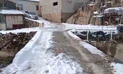 Mahalleli köprüye korkuluk istiyor