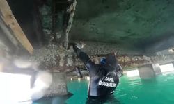 Mahsur kalan kedi için sahil güvenlik seferber oldu