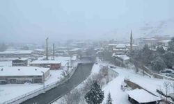 Malatya'da kar yağışı etkisini arttırdı