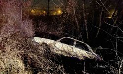 Otomobil ağaca çarptı: 1 yaralı