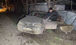 Otomobil ağaca çarptı: 4 yaralı
