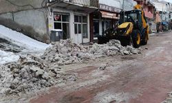 Posof'ta karla mücadele