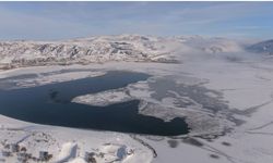 Sibirya soğuklarının hakim olduğu Van'da Sıhke Göleti'nin yüzeyi dondu