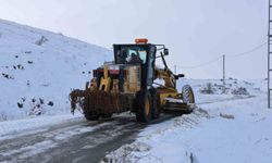 Sivas'ta 126 yerleşim yerinin yolu ulaşıma kapalı