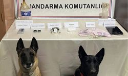 Uyuşturucu operasyonu