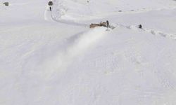 Valilikten kar savurma makinesi desteği