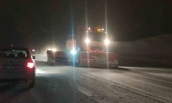 Van'da 341 yerleşim yerinin yolu kapandı