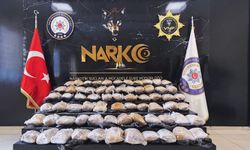 Van'da 39 kilo 340 gram skunk maddesi ele geçirildi