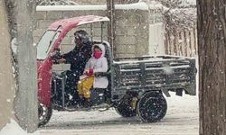 Van'da kar yağışı etkili oluyor