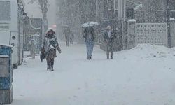 Van'da lapa lapa kar yağdı: 405 yerleşim yerinin yolu kapalı