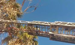 Yürekleri ısıtan kurtarma