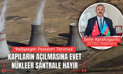 Radyasyonun Pasaportu Olmaz