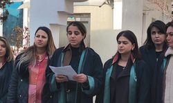 Iğdır Barosu'ndan "Ceren Işık" İsyanı: "Şüpheli Ölümlerde Cezasızlığa Geçit Vermeyeceğiz!"