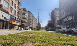 IĞDIR’DA BAHARIN MÜJDECİSİ: İLK CEMRE HAVAYA DÜŞTÜ!