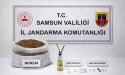 12 kilo bonzai ele geçirildi