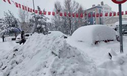 132 köy yolu ulaşıma kapandı