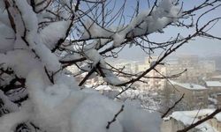 144 yerleşim yerinin yolu ulaşıma kapandı