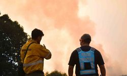 50 bin hektarlık alan kül oldu