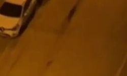 Adana’da iki grup arasındaki tüfekli kavga kamerada