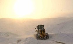 Ağrı'da 41 köy yolu ulaşıma kapandı