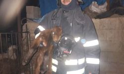 Ahırda korkutan yangın