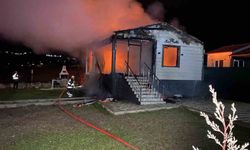 Bağ evi alevlere teslim oldu