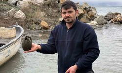 Balıkçıların ağına küp takıldı