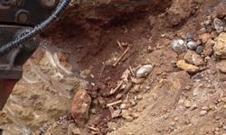Belediye kazısında kemik parçaları bulundu