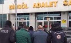 Bingöl'de göçmen kaçakçılığı operasyonu: 12 düzensiz göçmen yakalandı