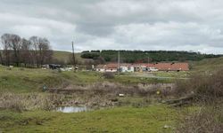 Çiftlik evinde dehşet