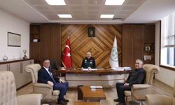 Derelerin ıslahı için süreç başlıyor