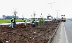 Diyarbakır'da üstyapı çalışmaları