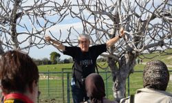 Fotoğrafçılar Buldan'da sahaya indi