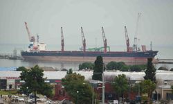 Gümrüğünden en çok meyve ihraç edildi, motorin ithal edildi