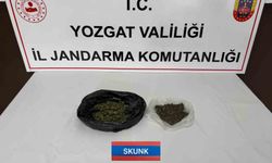 Jandarma ekipleri uyuşturucuyla mücadeleyi sürdürüyor
