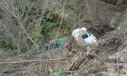 Kamyon şarampole uçtu