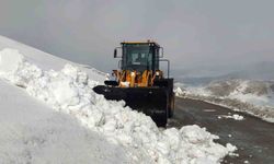 Kar nedeniyle kapanan 67 yerleşim yerinin yolu açılıyor