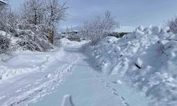 Kar yağışı etkisini sürdürüyor