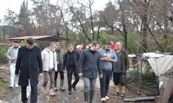 Köyceğiz Kaymakamı Kumcu, selden etkilenen bölgelerde incelemelerde bulundu