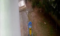 Mardin'de bisiklet hırsızlığı kamerada