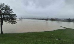 Meriç Nehri'nden taşan sular yaşam alanlarına kadar ulaştı