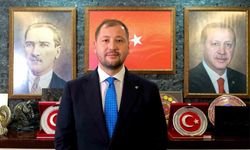 Muğla'da 'zeytin kesim' tartışmasına, valilik soruşturma başlattı